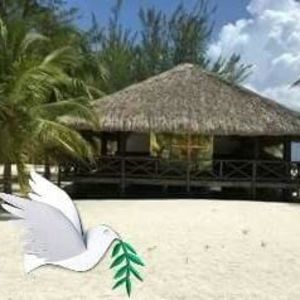 Meet your Posher, Irene